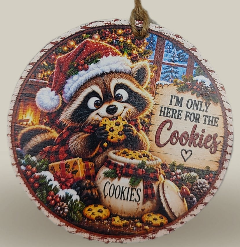Raccoon Christmas