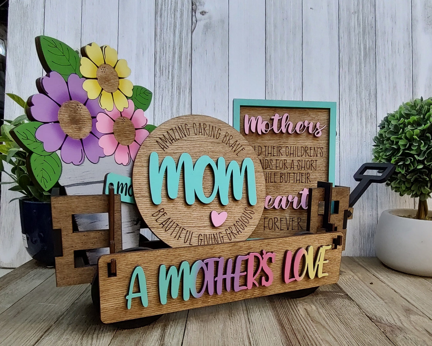 A Mothers love